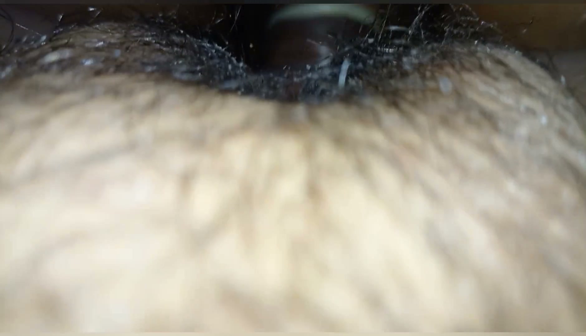 Frame 5