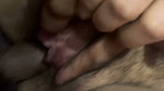 Indian Desi Bhabhi Sex