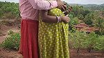 Outdoor Bhabhi Fuck