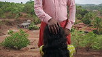 Outdoor Bhabhi Fuck