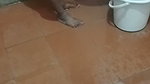 Pissing and Washing Pusssy