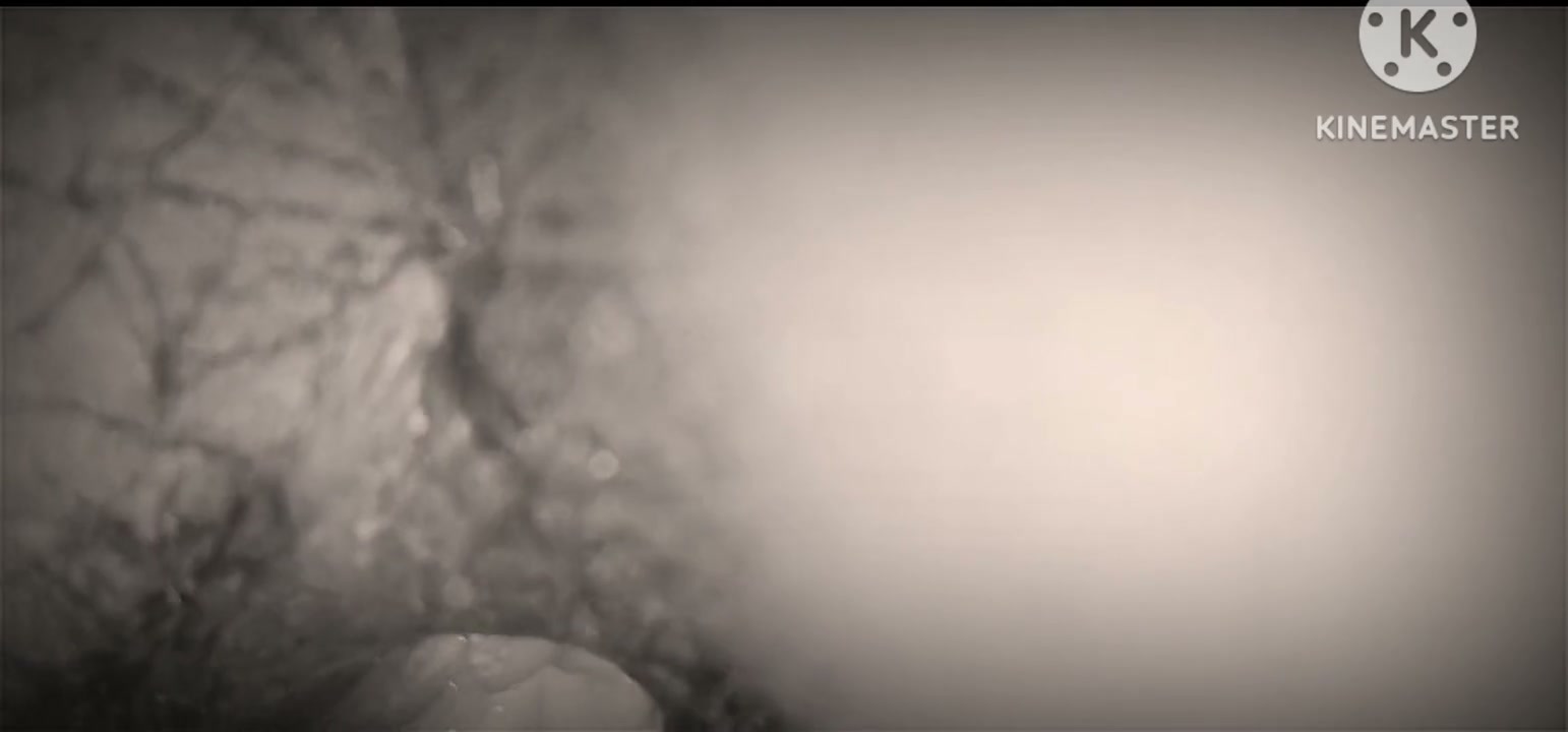 Frame 1