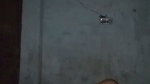Reena Bhabhi’s Vigorous Fucking
