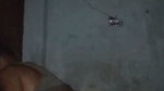 Reena Bhabhi’s Vigorous Fucking