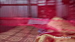 Stepson Stepmom Ass Fucking Village Home