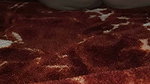 The Desi Girl of the Village Took the Ass for the First Time