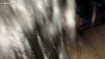Big ass Asian Bae in tight pants getting her wet pussy fucked