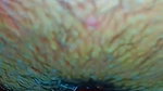 Close Up Sex