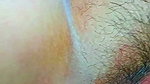 Close Up Sex