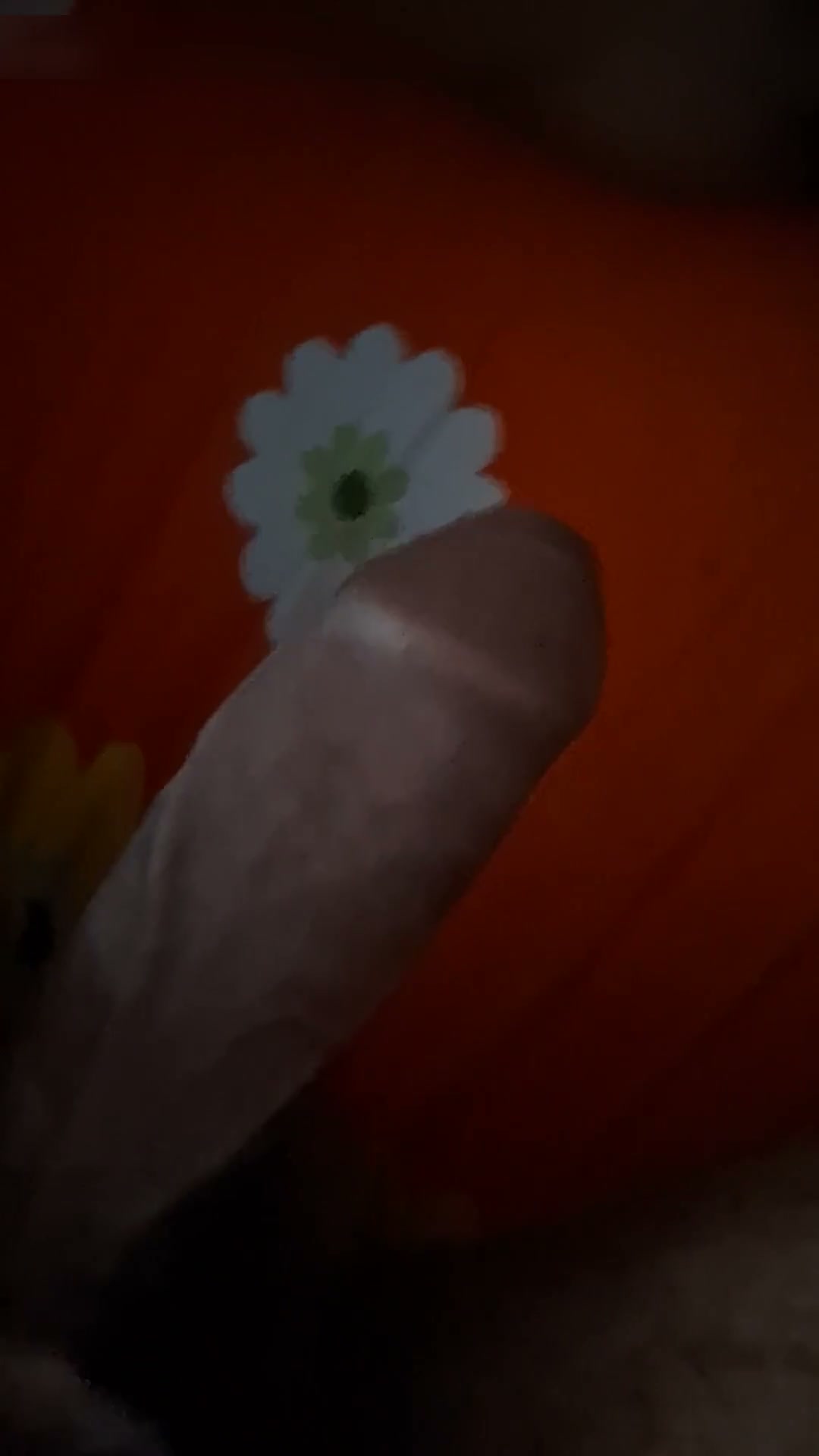 Frame 6