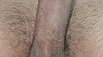 Husband Penis is Getting Ready For Sex