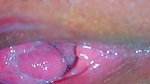 Juicy Pussy Close Up