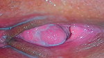 Juicy Pussy Close Up