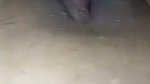 Nepali Clear Audio Video, New Nepali Video, Nepali Home Made Video