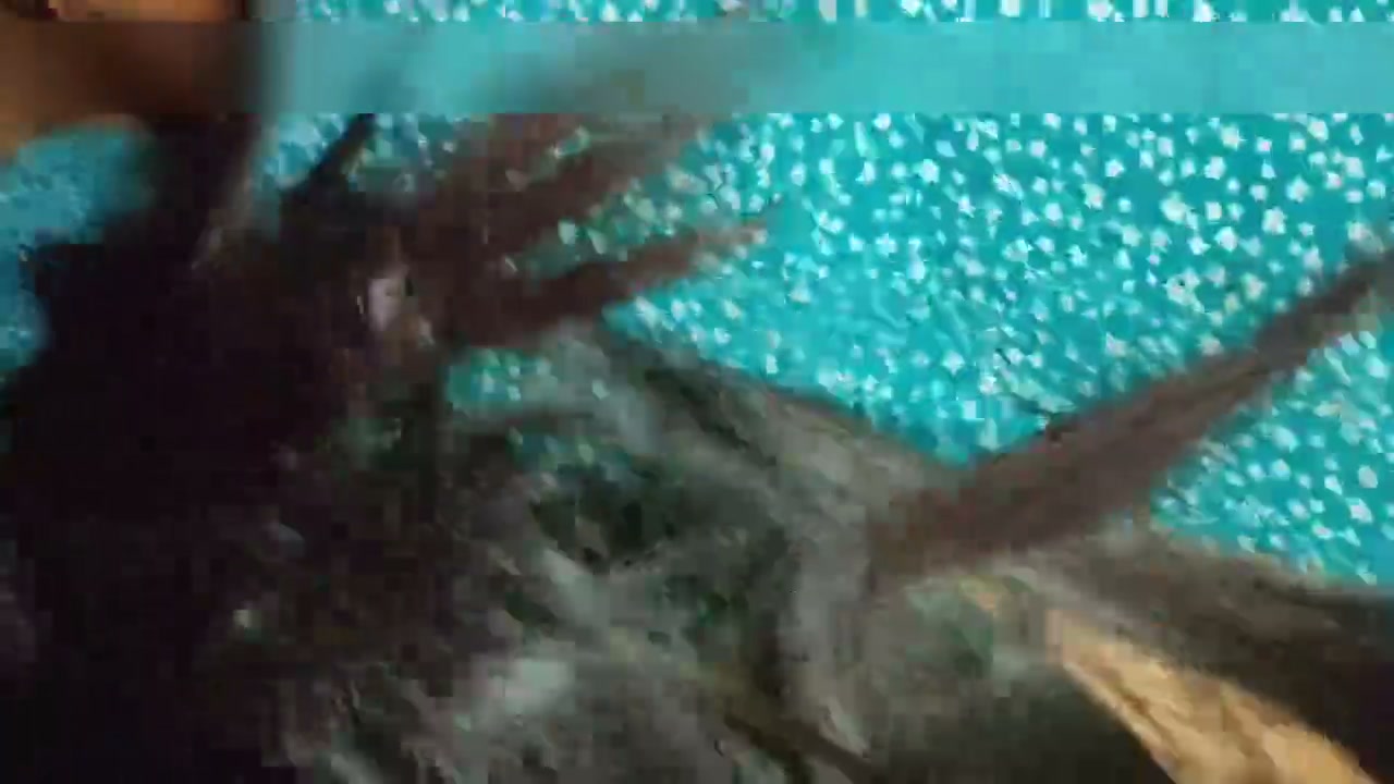 Frame 6