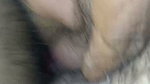 Nepali Pink Pussy Reed Condom Pink Pussy Stepmom Rato Condom Lyra Chikeko