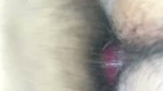 Nepali Pink Pussy Reed Condom Pink Pussy Stepmom Rato Condom Lyra Chikeko