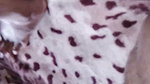 Nepali Sex Video Episode 37