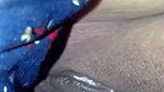 Nepali Villege Wife Fingering And Closeup Tong Brings pussy eating Puti chater maja liyako