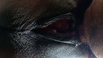 New nepali forest outdor sex video part -2 jungle ma mangal