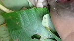 New nepali forest outdor sex video part -2 jungle ma mangal