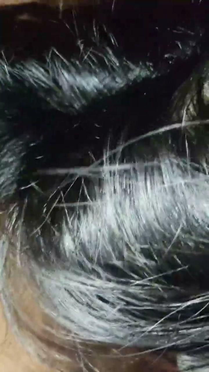 Frame 8