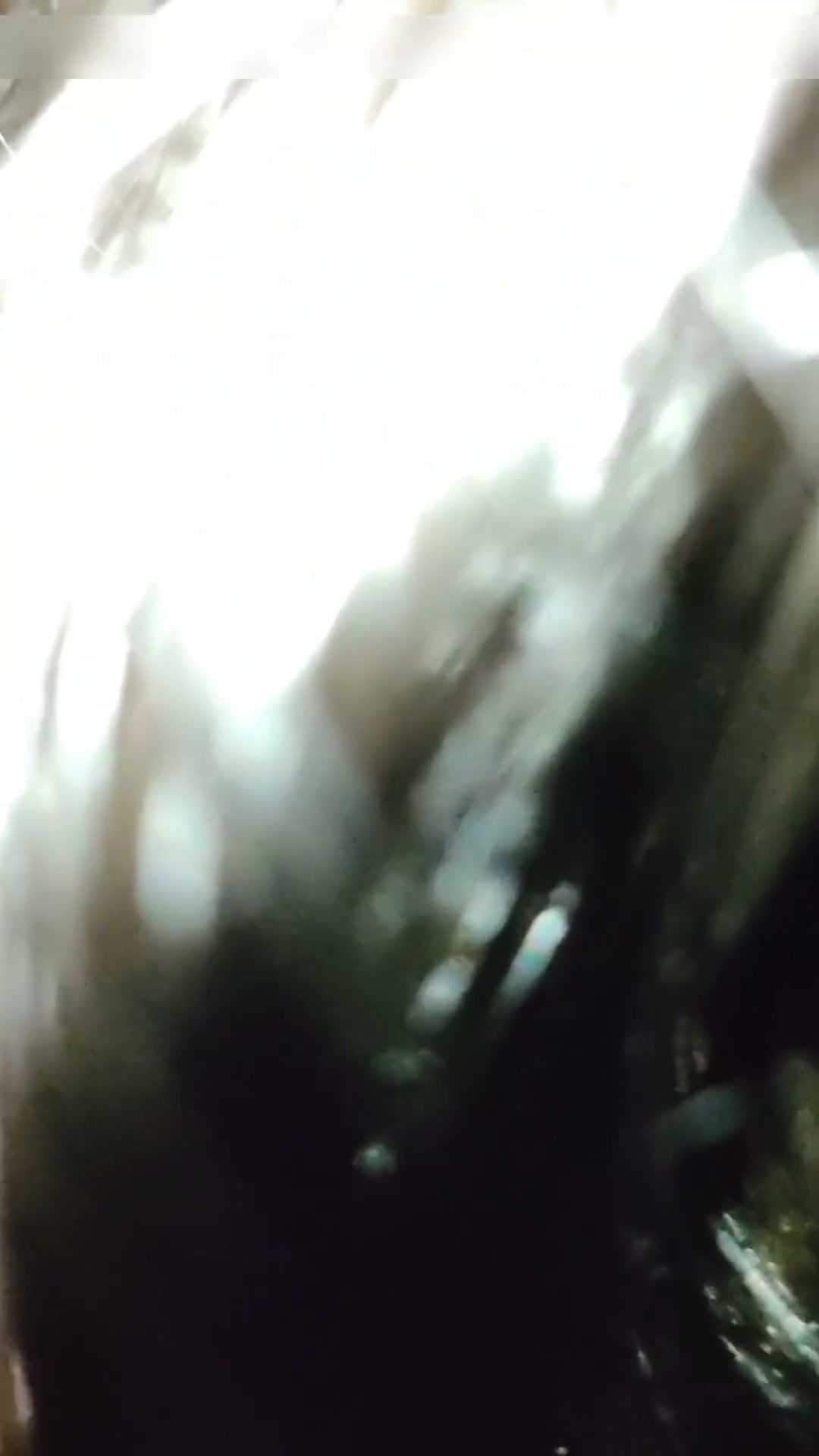 Frame 6