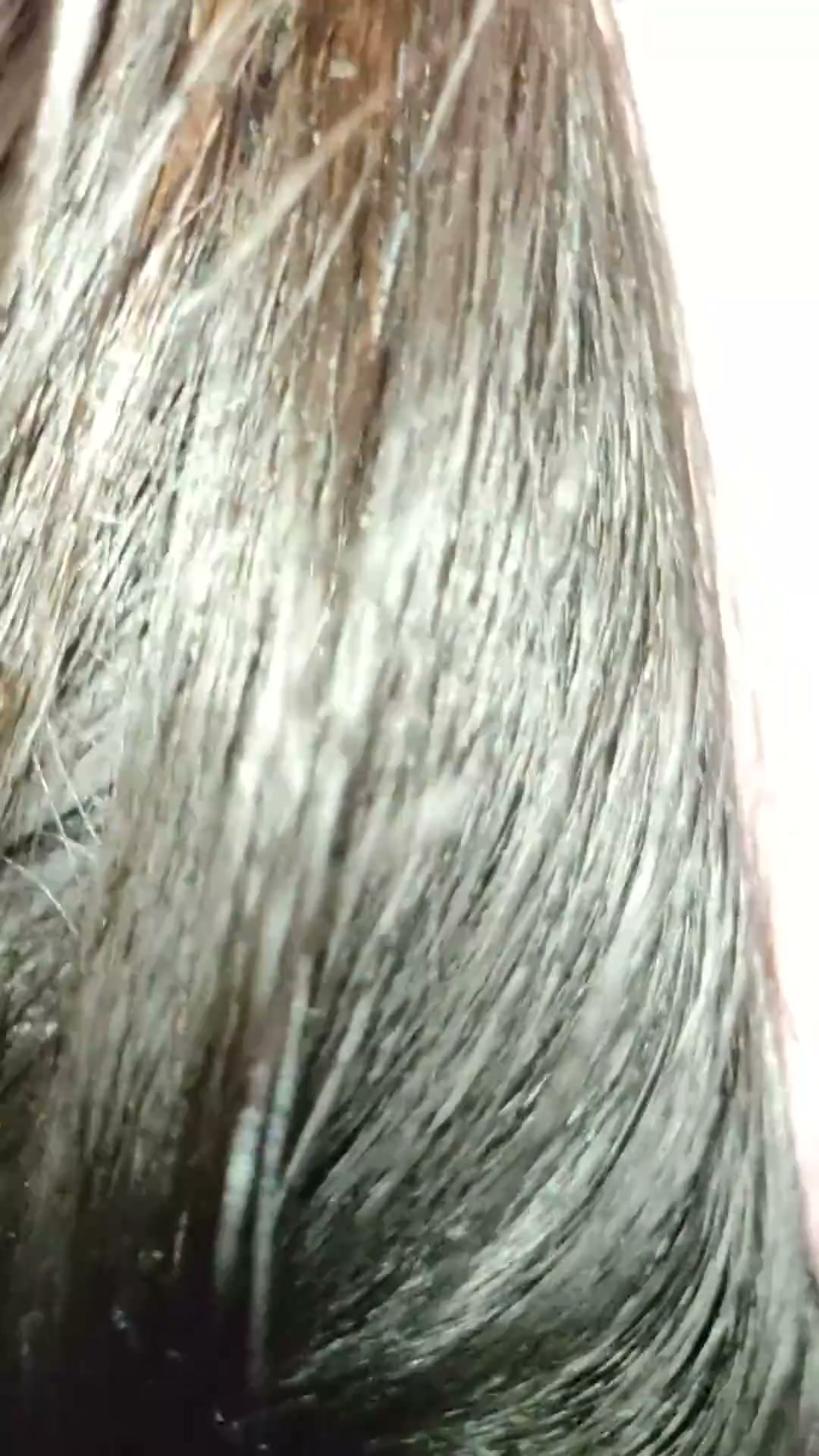 Frame 9