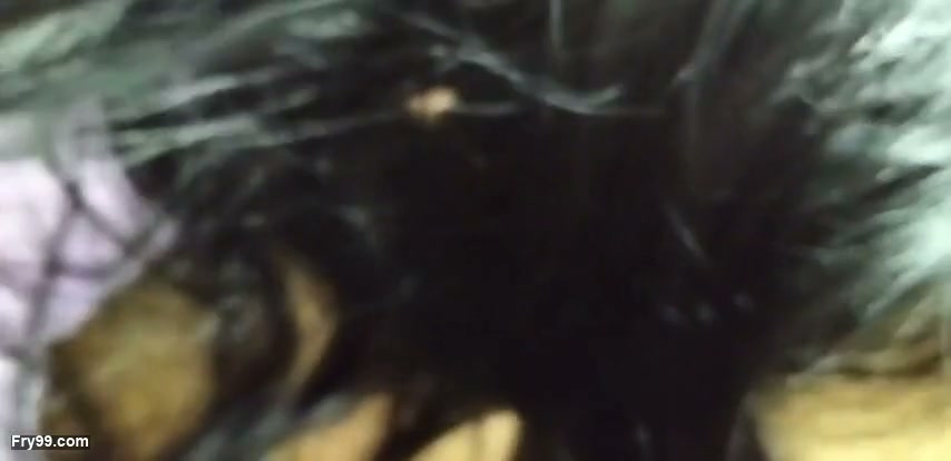 Frame 5
