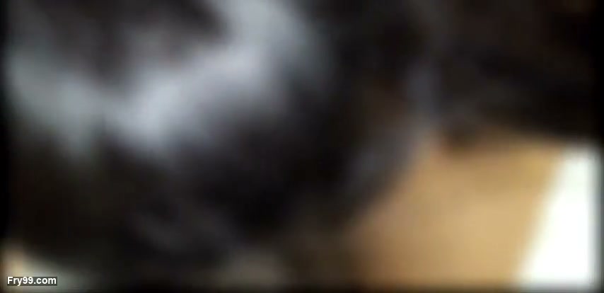 Frame 5