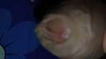 PART 2 Putting the Shaved Cock to Use! Raw Deep Fucking and Big Creampie