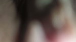 Real Amateur Husband Slow Growing Erection to Deep Creampie with Wife