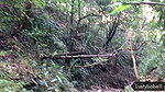 Trekking ma saree layera majjale chikeko(sex in the woods)
