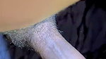 Wife fucked with reverse