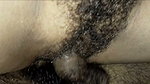 Husband wife Hard core sex