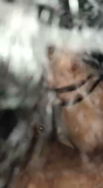 Frame 3