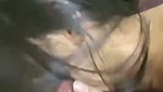 Videos God 5