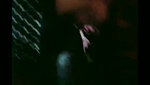 Bangladeshi tango collection – 274