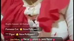Bangladeshi tango collection – 71