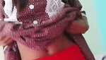 Pakhi