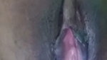 Pakhi