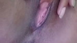 Pakhi