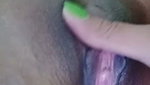Pakhi