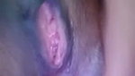 Pakhi