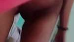 Pakhi
