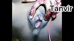 নেহালুবনা