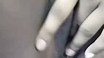 পাপিয়া