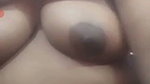 বৈশাখী