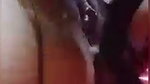 রেশমী