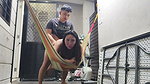 ASIAN MILF HARDCORE FUCKED HARD WHILE SWINGING